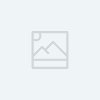 accounting programs