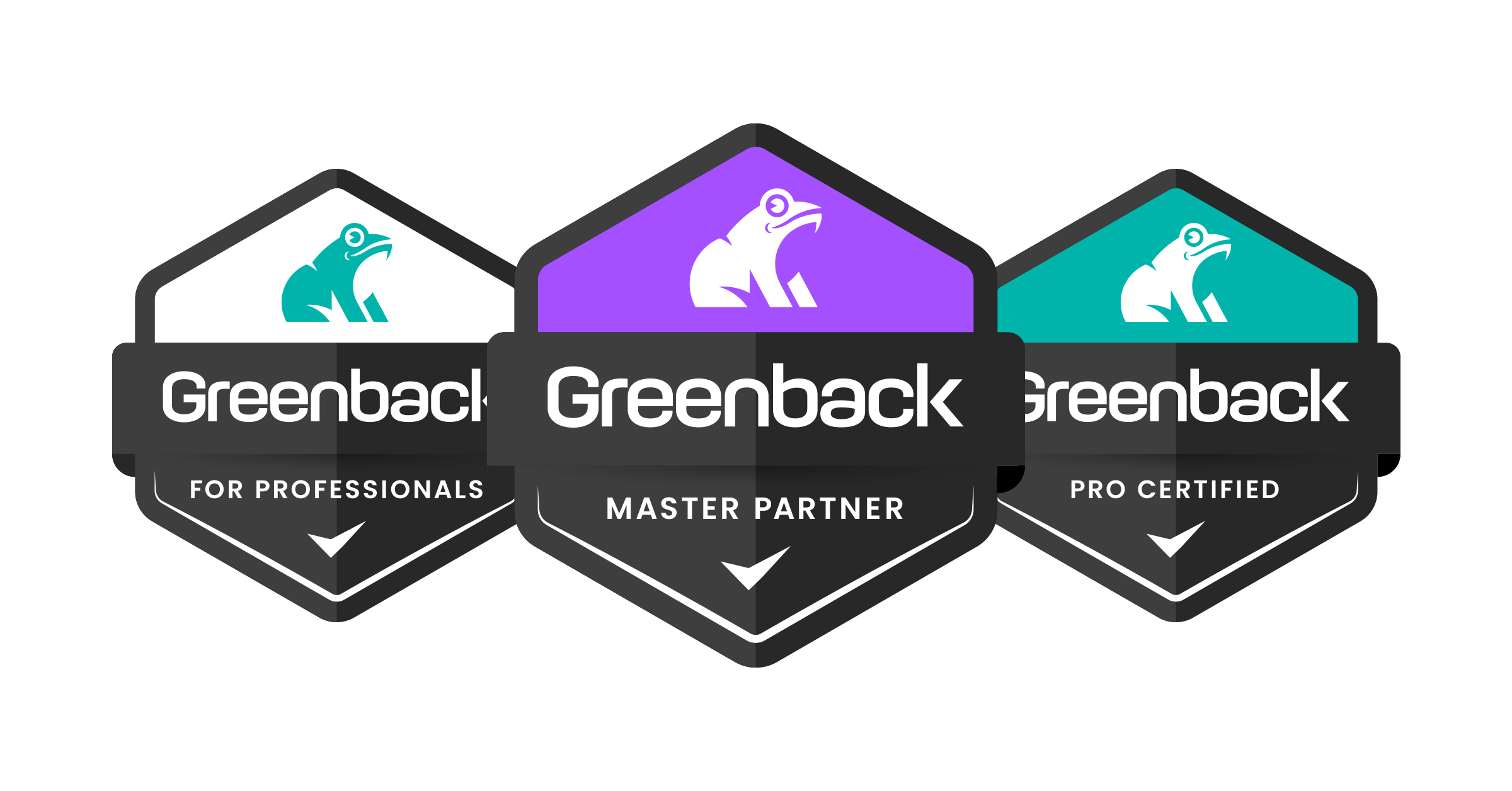 Introduction to Greenback for Pros